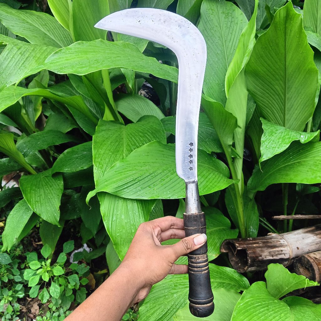 arit pelong, arit cap bintang lima, arit ramban asli madura bahan baja pir