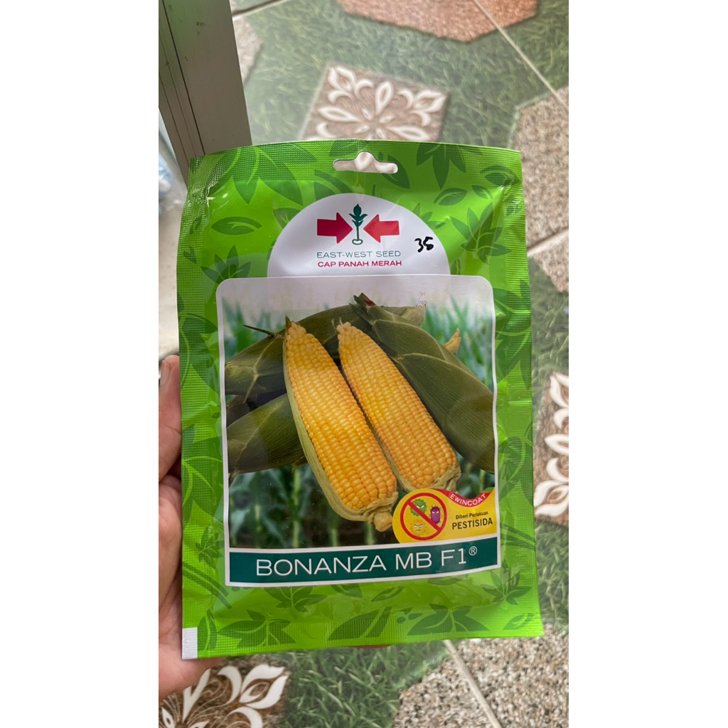 Bibit Jagung Bonanza MB F1