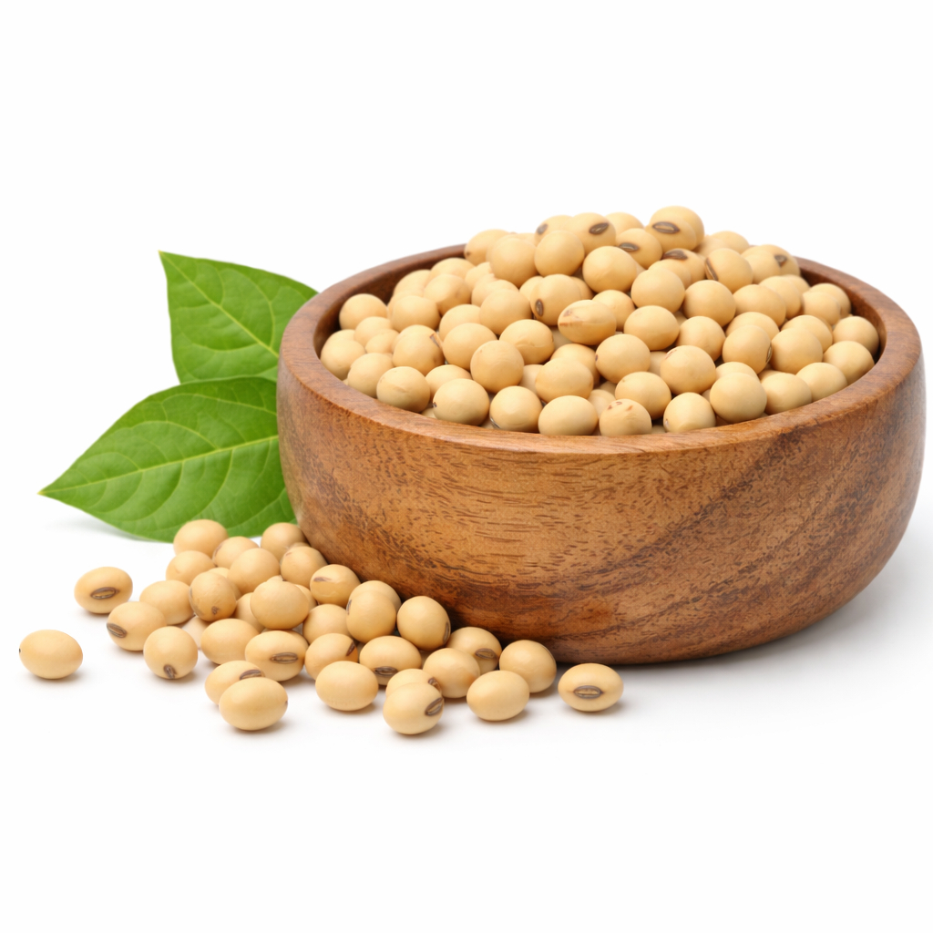 Kacang Kedelai Bola Merah Import USA Premium Repack 5 Kg