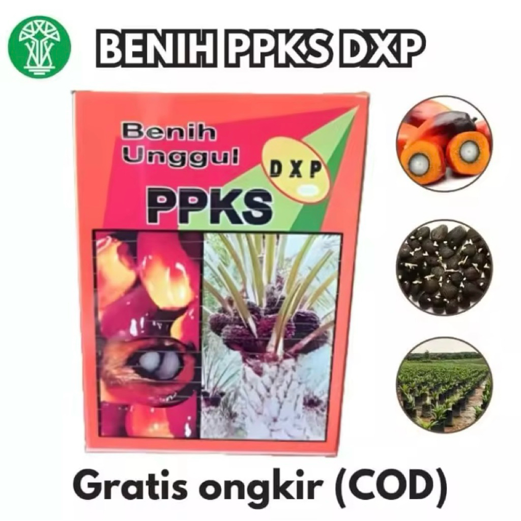 Bibit Kelapa Sawit DxP PPKS 239 Pelepah Panjang, dan Kualitas Tinggi
