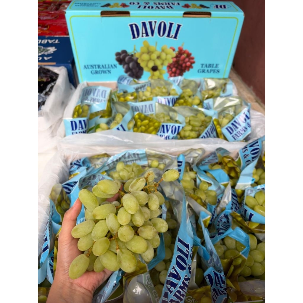 Anggur Thomson Davoli Best Quality