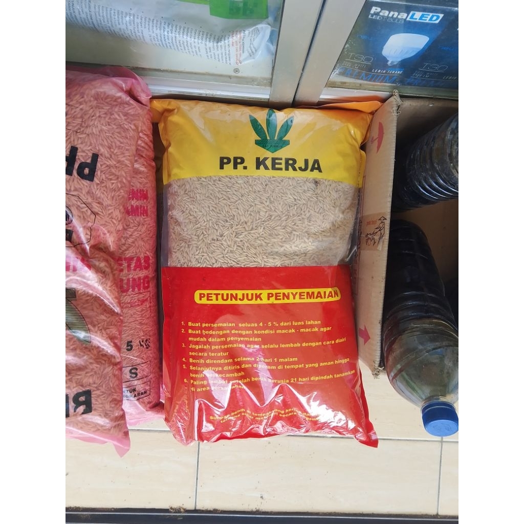 benih padi CIHERANG PP KERJA PREMIUM