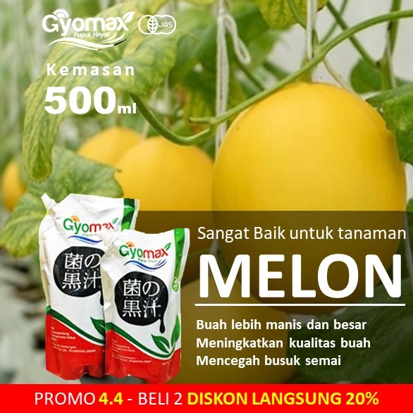 PUPUK MELON - GYOMAX - 500 ML