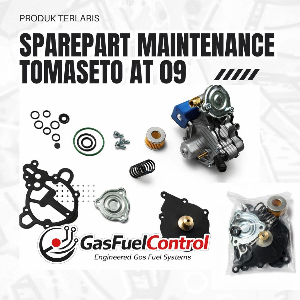 SPAREPART MAINTENANCE TOMASETO AT09 (REPAIR KIT REDUCER LPG)