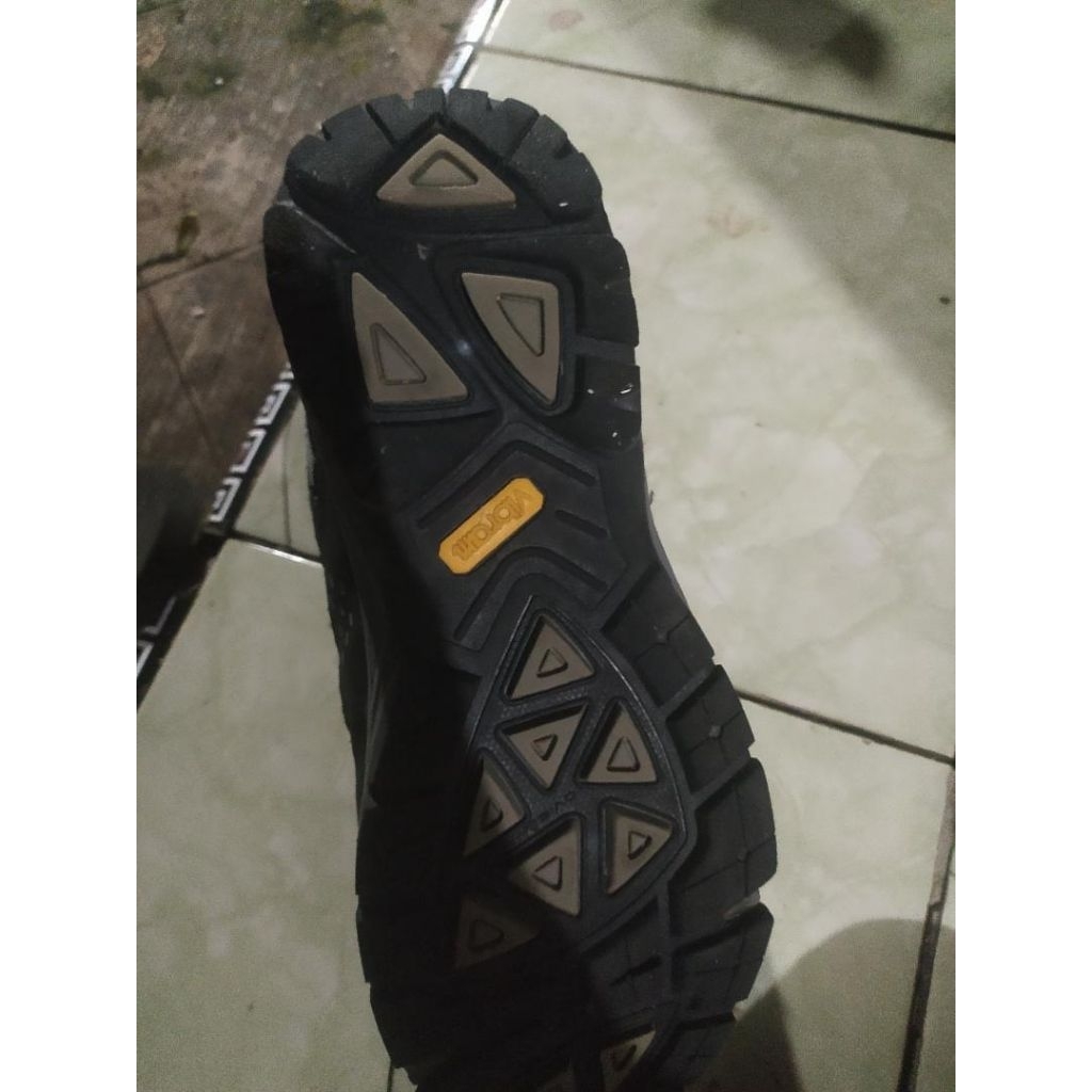 sepatu the north face