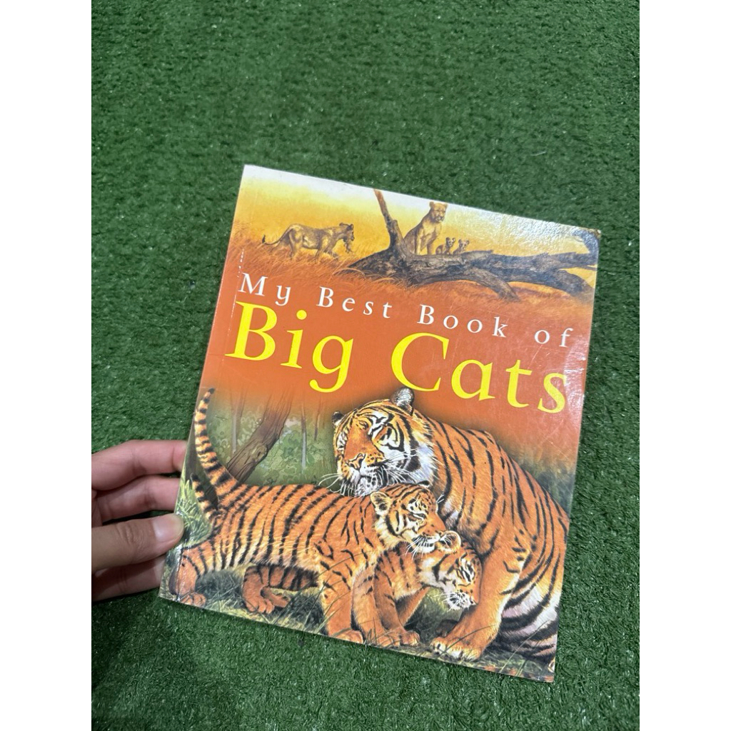 My Best Book of Big Cats
