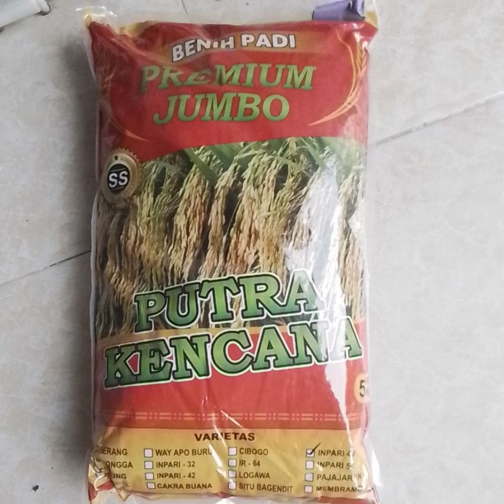 BENIH PADI INPARI 49 JEMBAR Premium Jumbo 5KG | BENIH PADI BERKUALITAS INPARI 49 JEMBAR 5KG