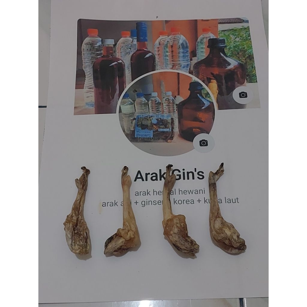 tangkur muara tangkur buay aa muara