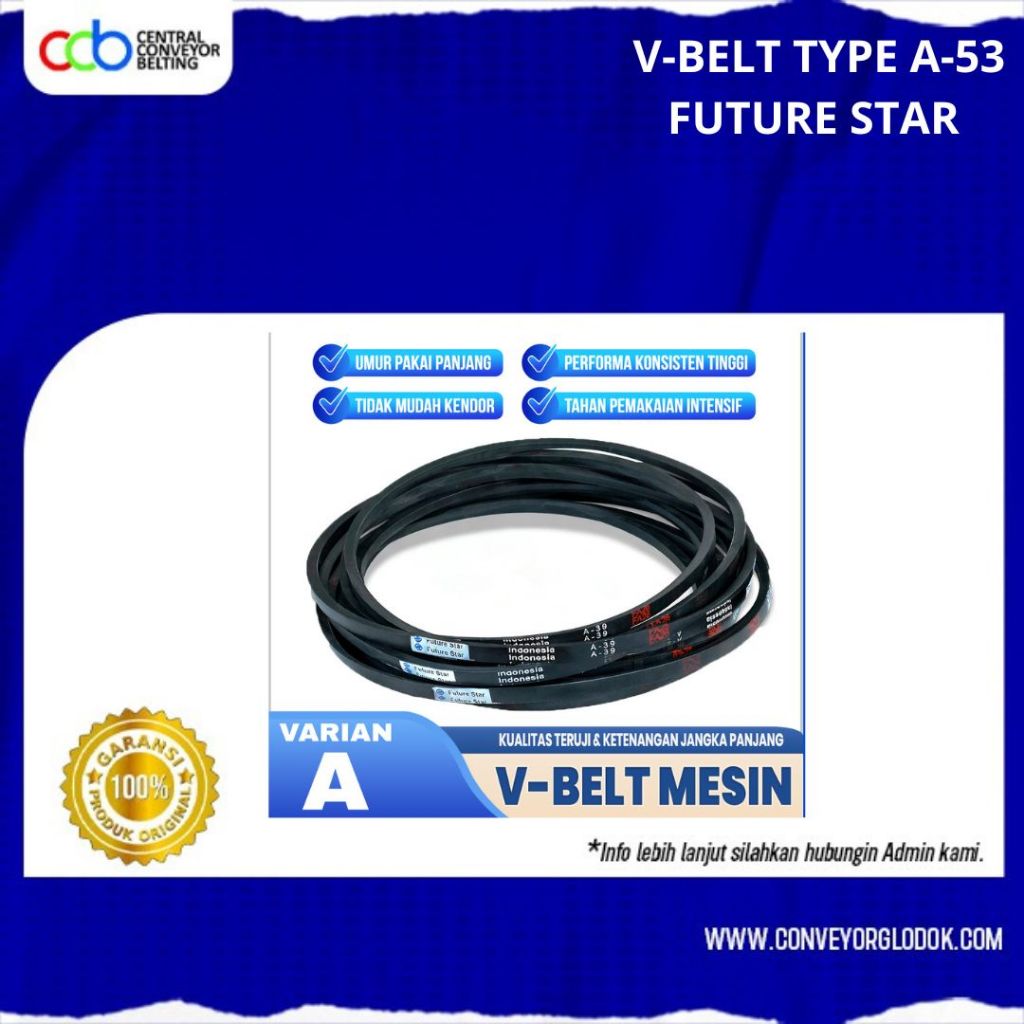 V-BELT TYPEE - A FUTURE STAR