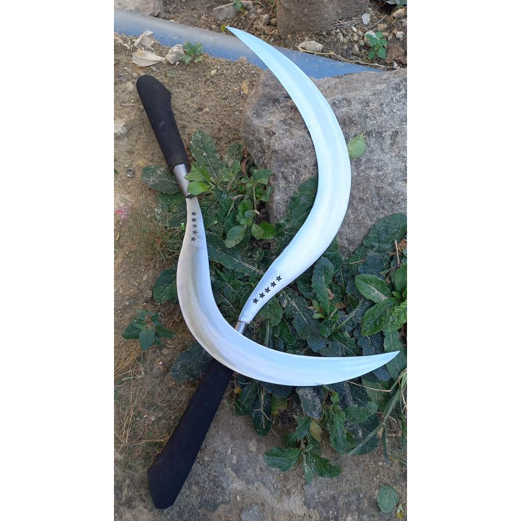 sabit rumput bintang lima asli Madura