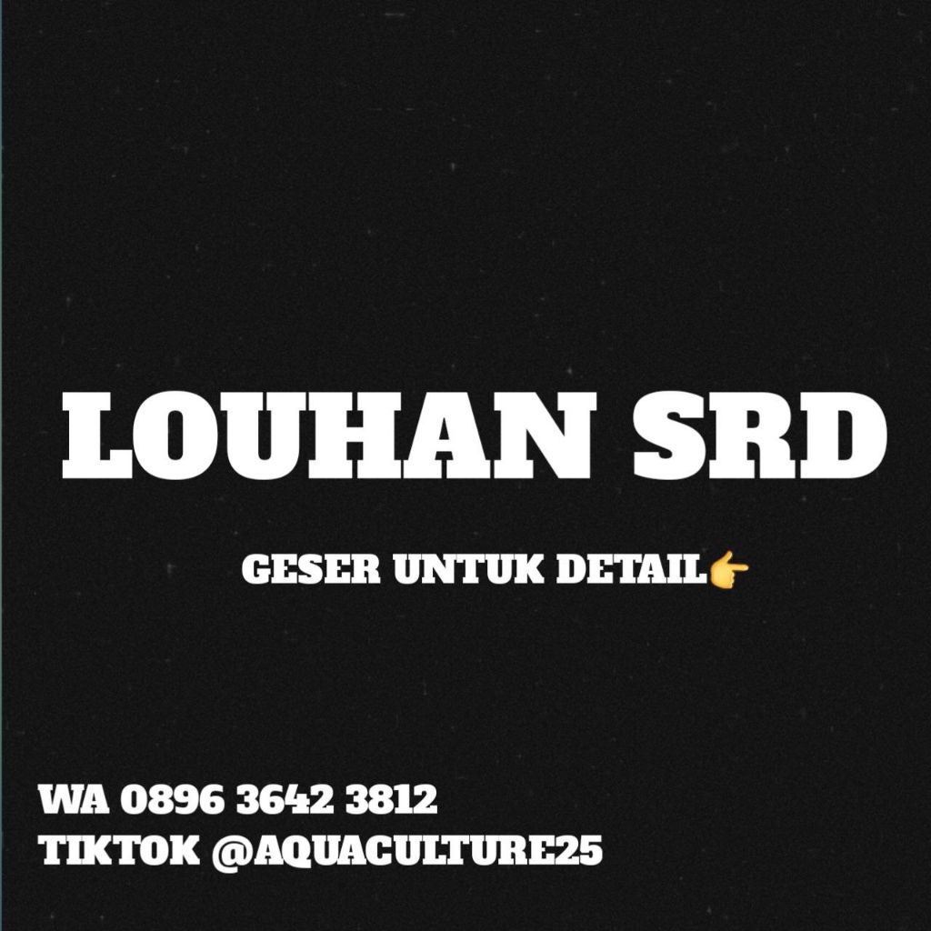 Dekorasi Louhan SRD Boomhead