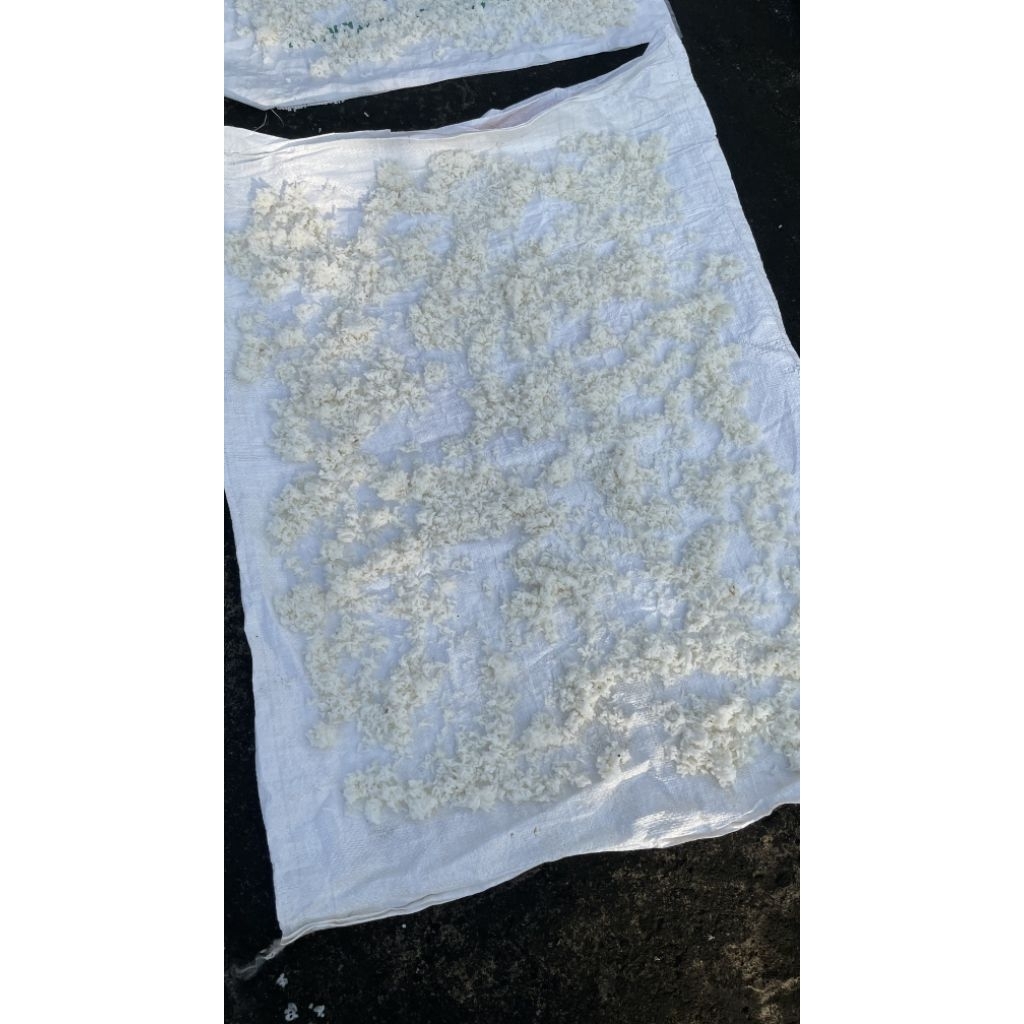 Nasi karak nasi aking nasi kering pakan ternak hewan 1 kg