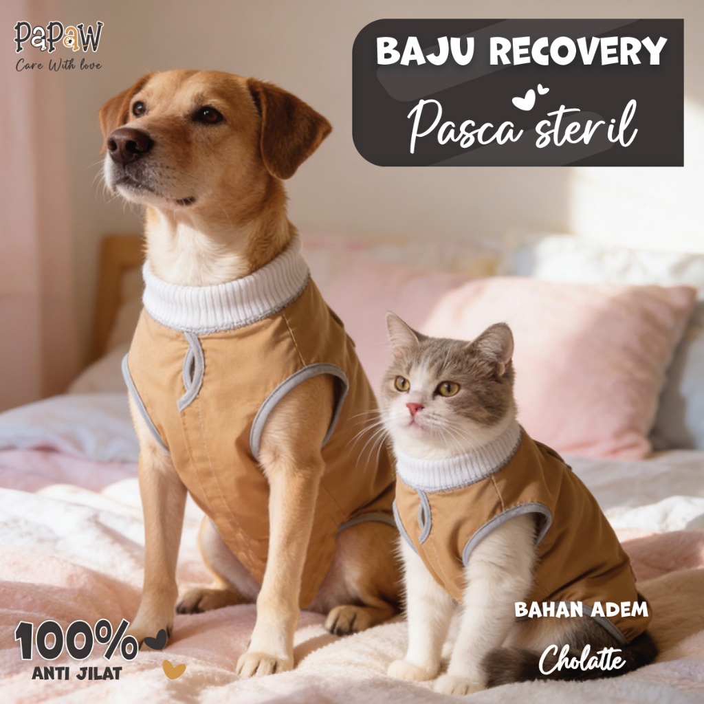 Baju Steril Kucing Anjing Betina Jantan Untuk Recovery Pasca Operasi