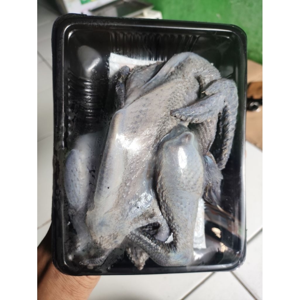 Ayam hitam utuh ayam hitam super fresh gift 1 pack