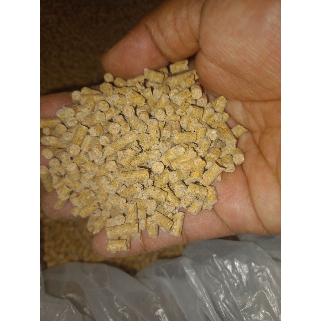New Pakan Itik Petelur