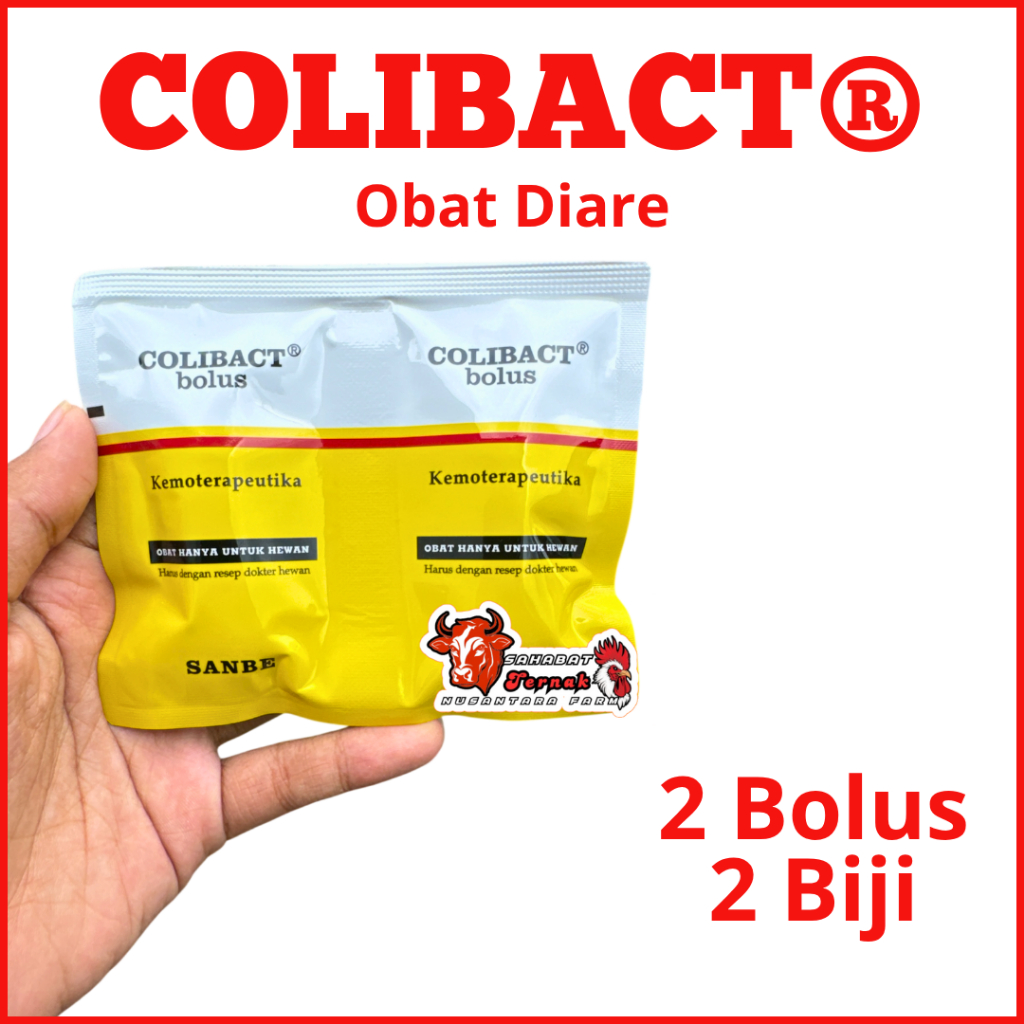 COLIBACT BOLUS ECER 2 BOLUS MENGATASI DIARE MENCRET-INDUK BARU MELAHIRKAN MENGATASI PENCERNAAN SANBE