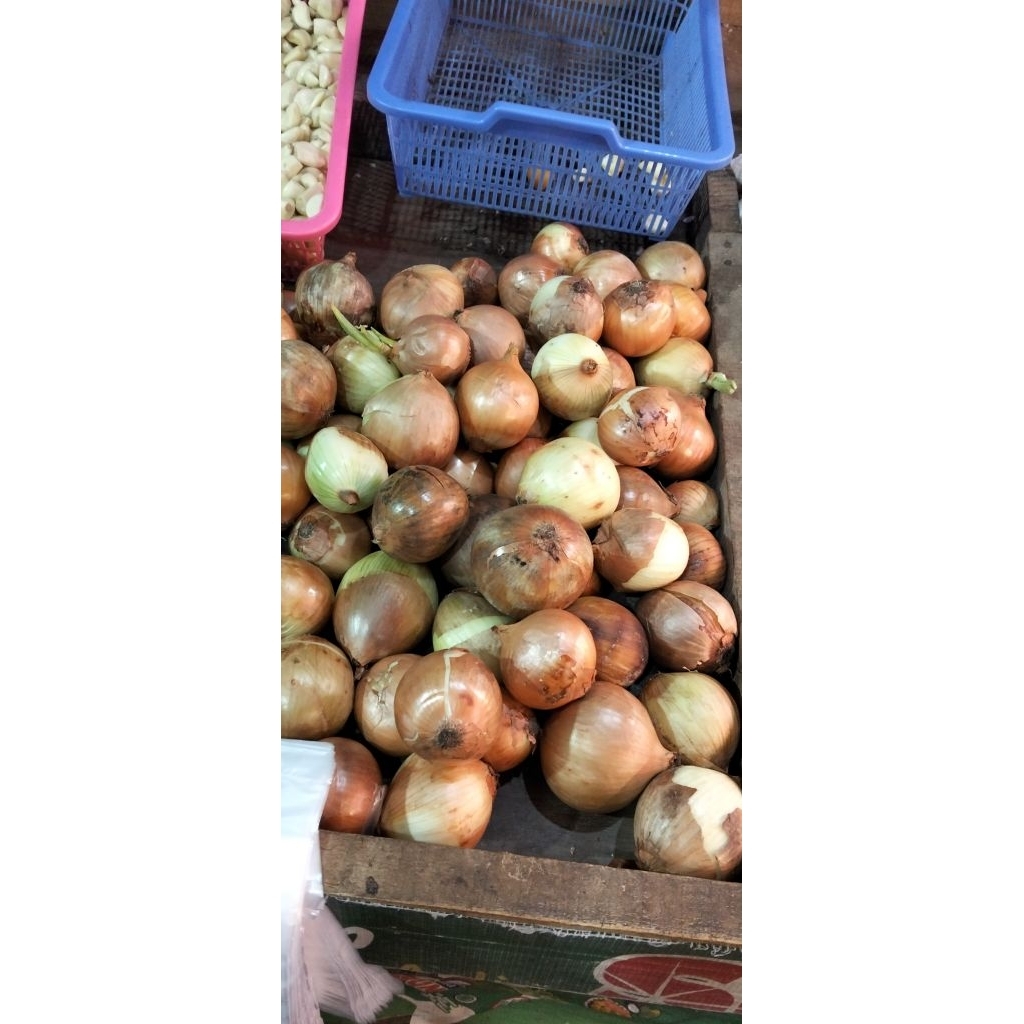 Bawang Bombay 1 kg