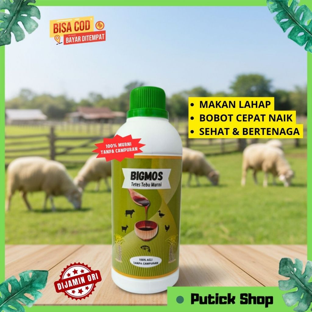 PENGGEMUK KAMBING BIGMOS MOLASE TETES TEBU PENGGEMUK KAMBING DOMBA PENAMBAH NAFSU MAKAN TERNAK SAPI