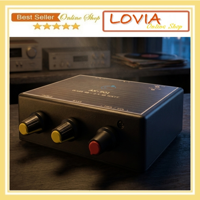 Ampli Rakitan Amplifier Miniatur Class-D 12V 2x40 Watt Siap Pakai AX-901