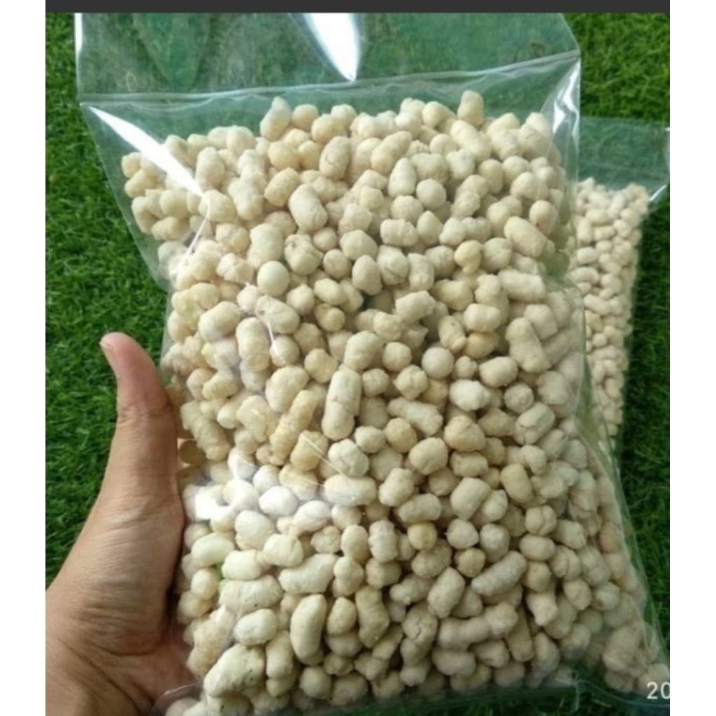 cikur/Sukro kencur.