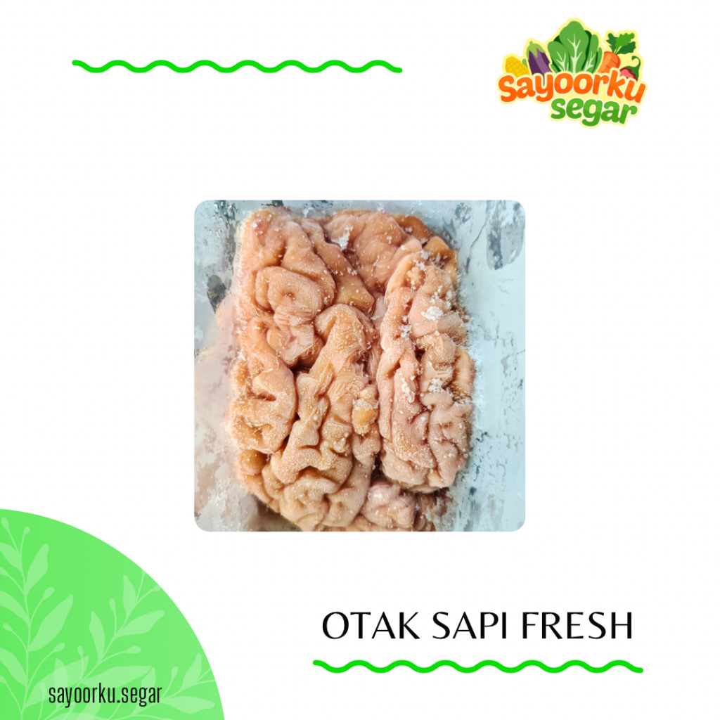 Otak sapi fresh frozen