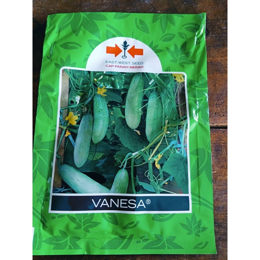 BENIH TIMUN LALAP- bibit mentimun hijau VANESA panah merah 20gem
