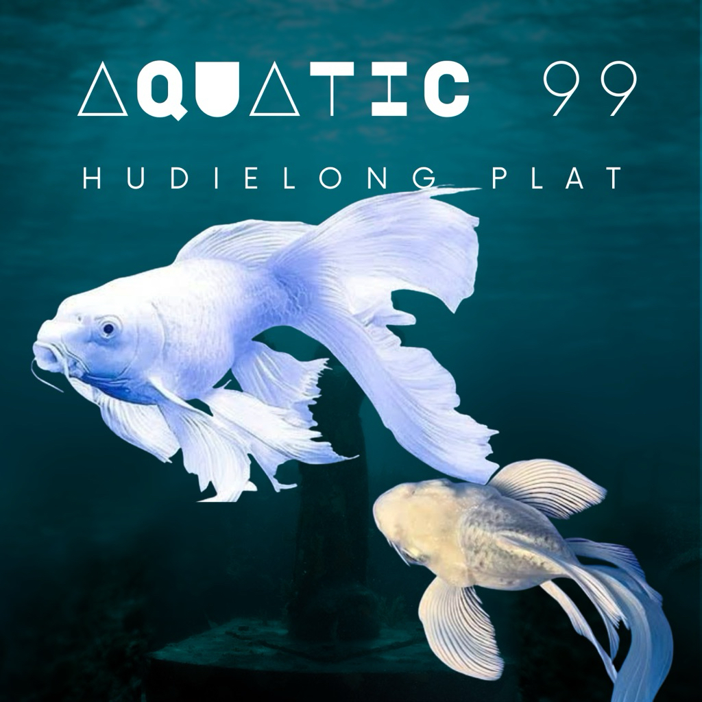 Hudielong Platinum Uk 6-7cm / Koi Sb Slayer Platinum