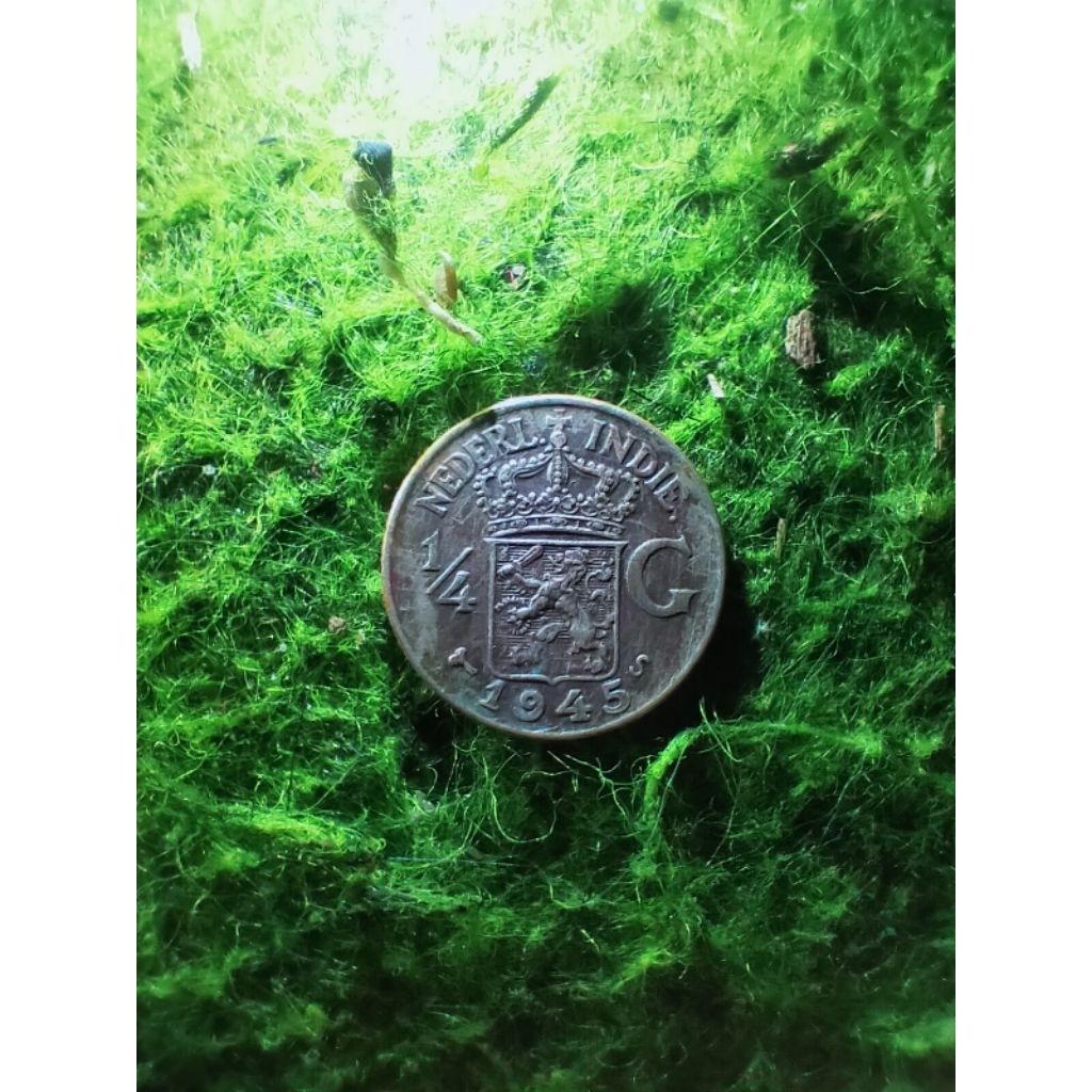 koin perak kuno 1/4 Gulden dari era Hindia Belanda (Netherlands East Indies).