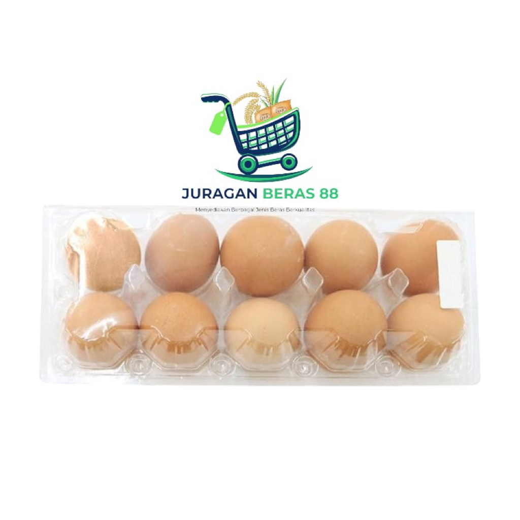 Telur Ayam Negeri Isi 10 Biji