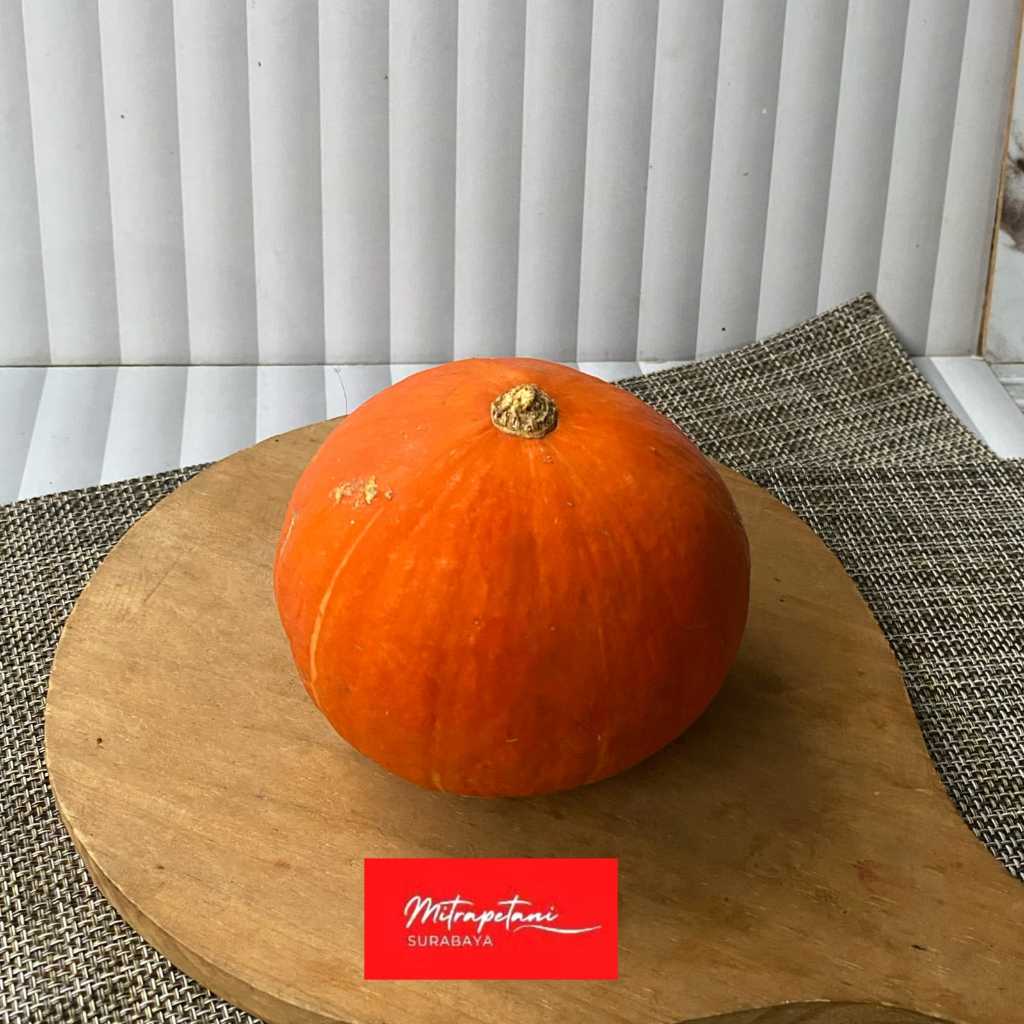 Kabocha jepang, labu kabocha kuning, labu kabocha
