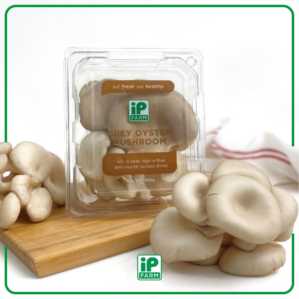 Fresh Grey Oyster / Jamur Tiram Lokal / Jamur Tiram / Jamur Tiram Segar