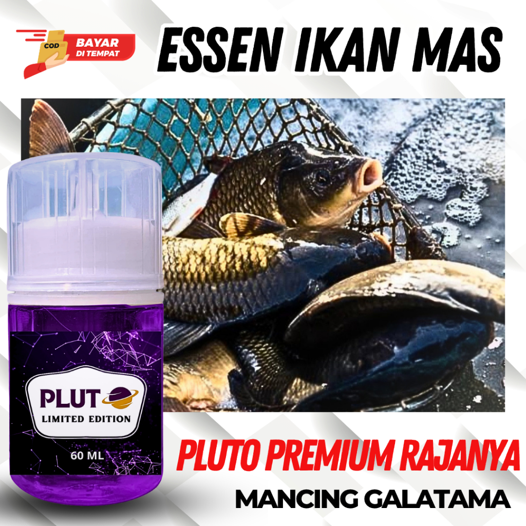 Essen Ikan Mas Indukan Sultan Pluto Premium - Gacor Lomba Indukan Juara galapung Dan Galatama