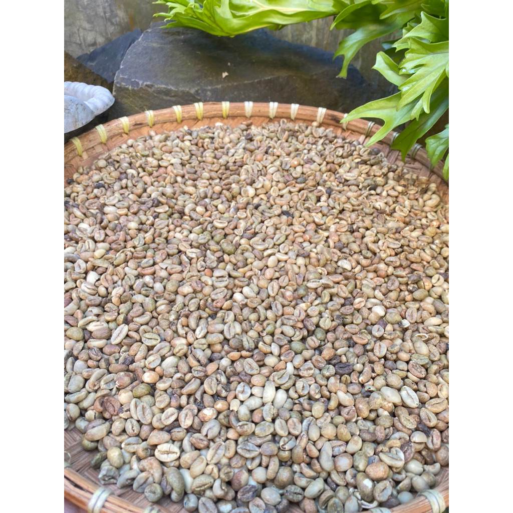 Biji kopi Robusta (ASALAN) Lampung Barat (way tenong) 1kg