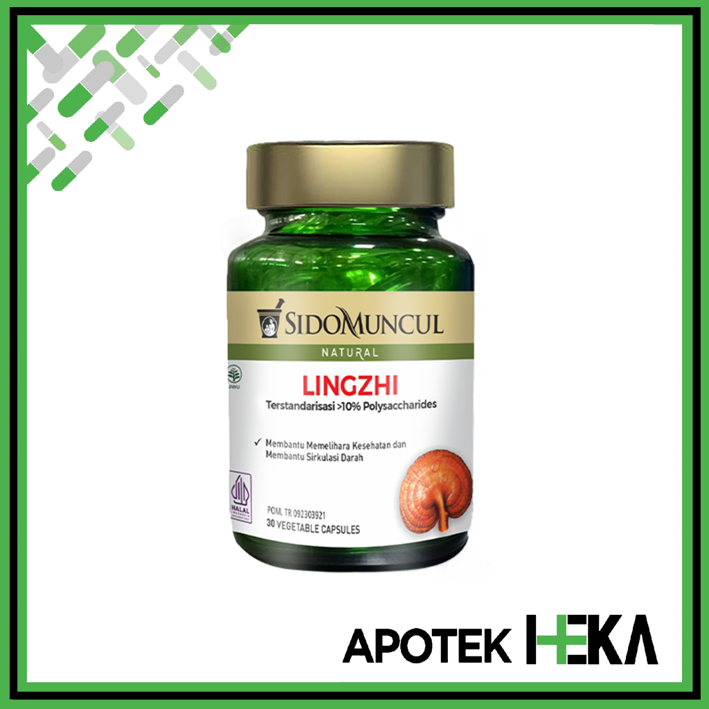 Lingzhi isi 30 Kapsul - Herbal Membantu Sirkulasi Darah (BANDUNG)