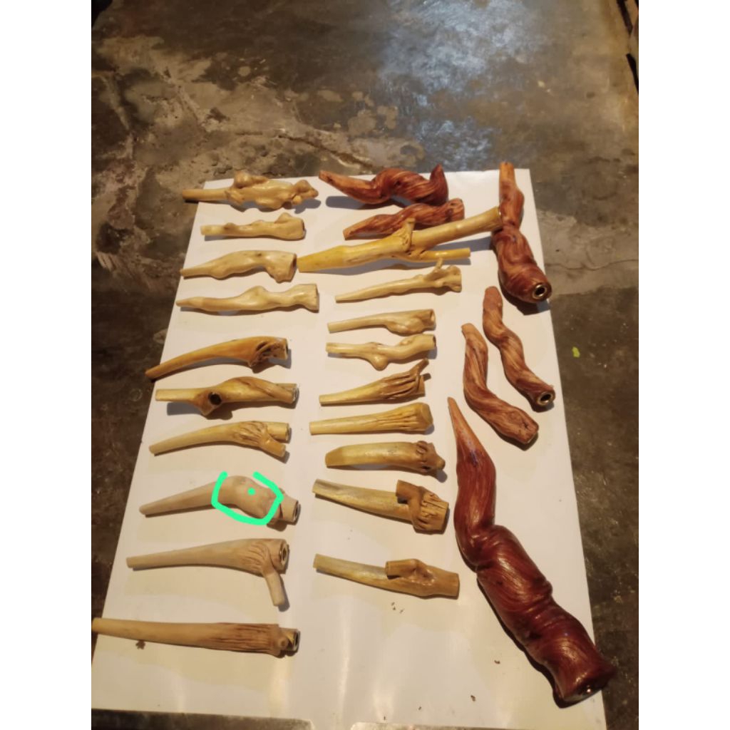 pipa once unik alami cengkih& tlogosari