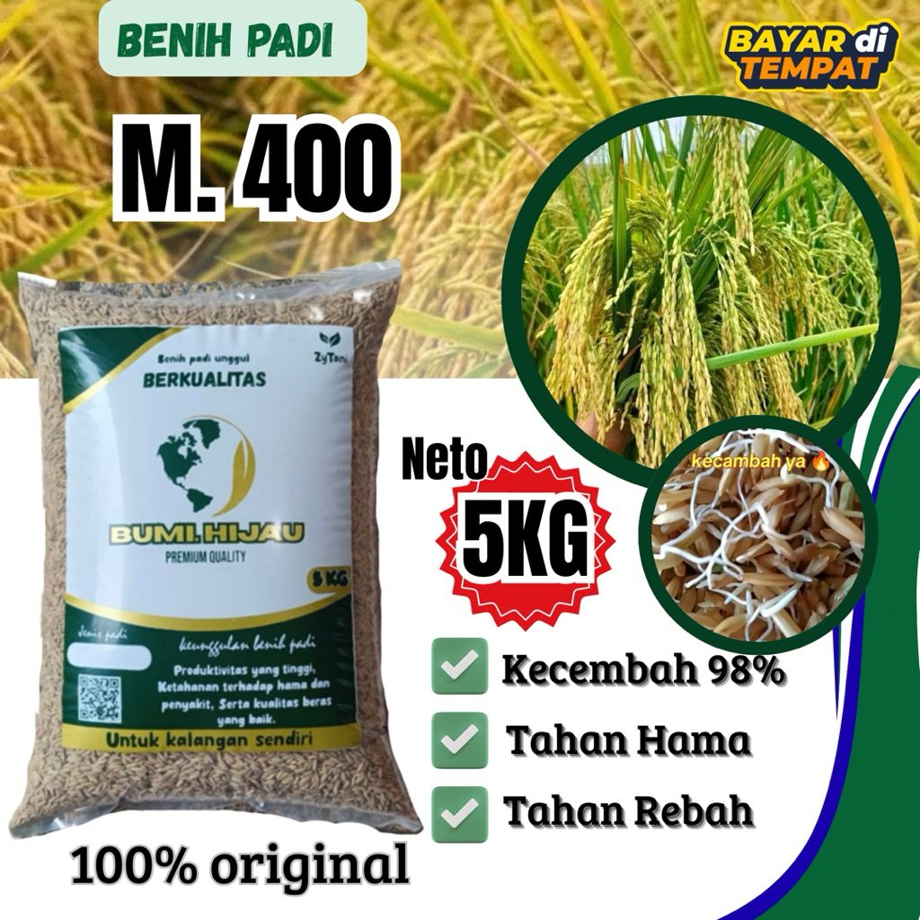 Benih padi unggul M400 kemasan 5kg 100% original