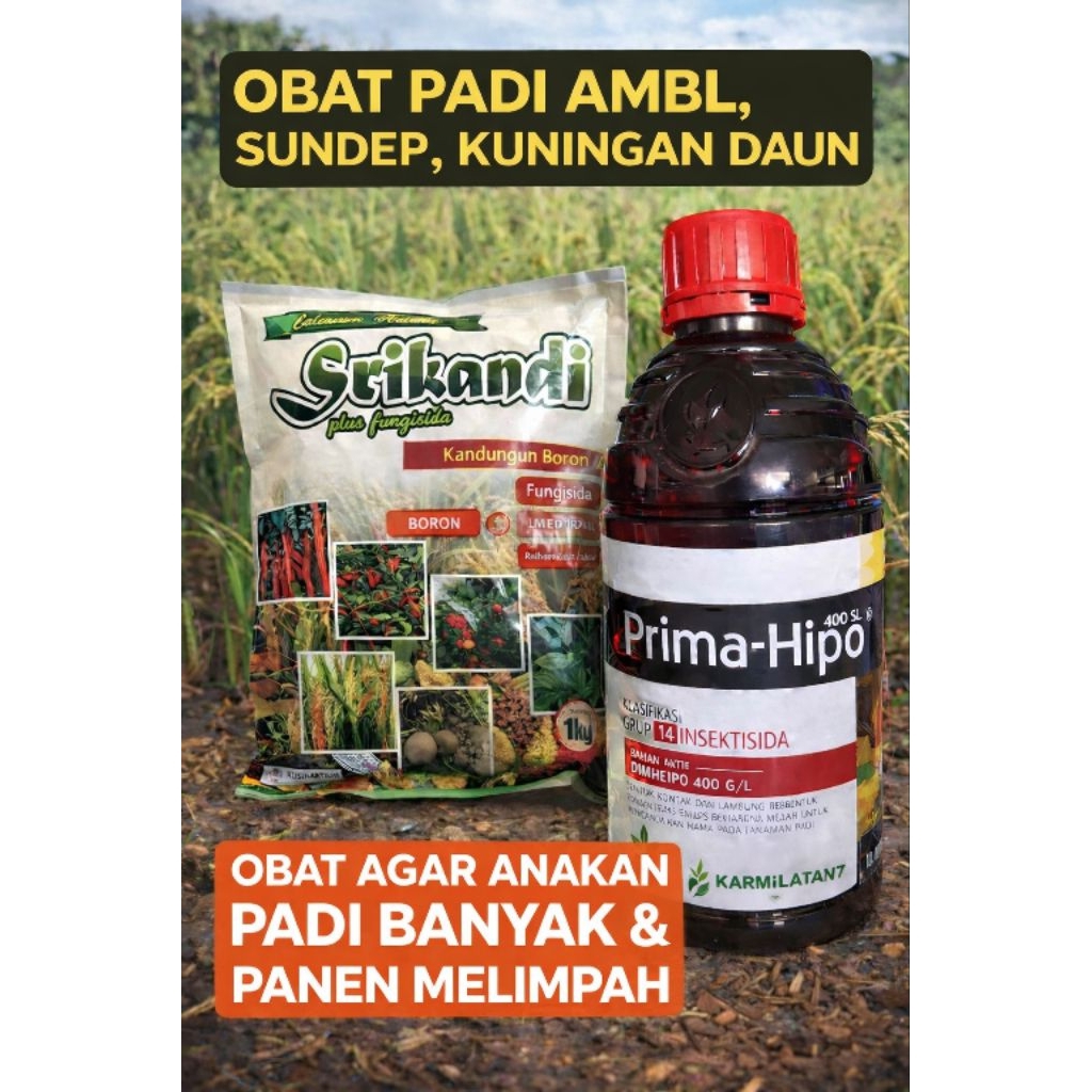 Obat Padi Lengkap Ambles Sundep Kuning Daun | Insektisida + Fungisida Padi Ampuh | Obat Pengganda An