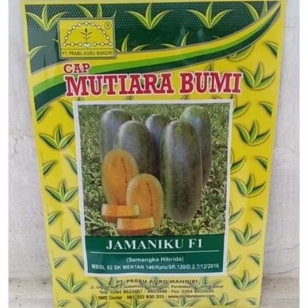 Benih Semangka Inul Kuning Mutiara Bumi Jamaniku F1