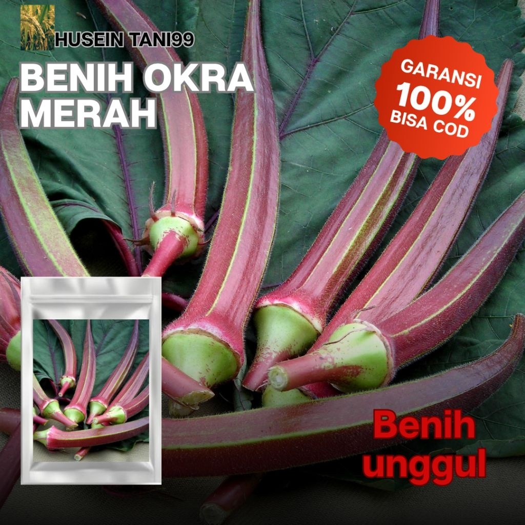 (50 biji) BIJI BENIH OKRA MERAH