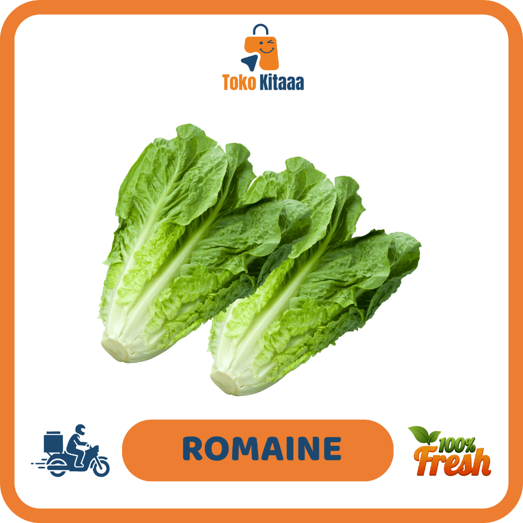 Romaine Lettuce - TOKO KITAAA JOGJA