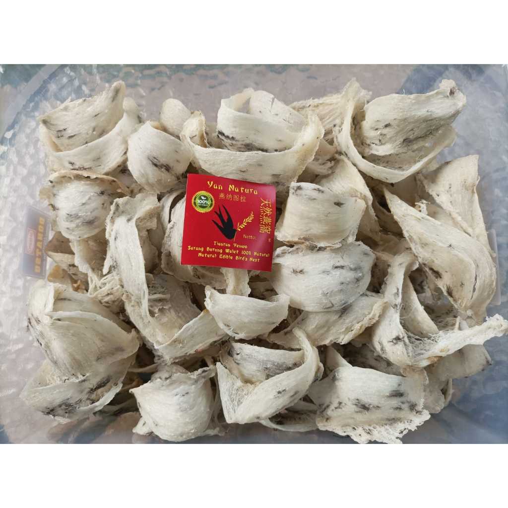 Sarang Walet Mentah Asli – Belum Cuci, Kualitas Bagus Siap Olah