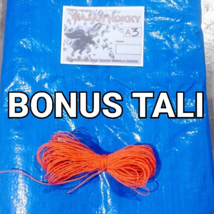 Terpal Tenda 2x2 Meter A3 Terpal Jemur Padi Terpal Kolam Ikan