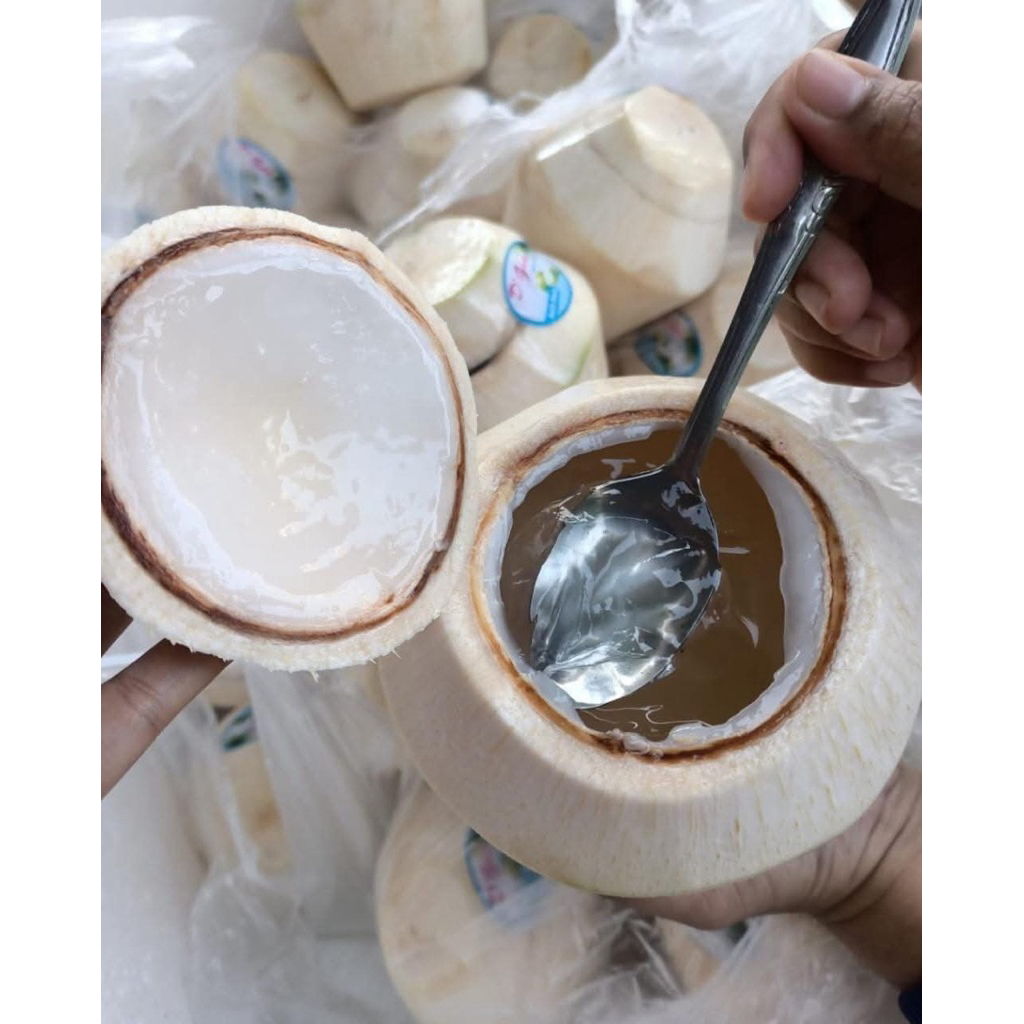 (INSTAN ONLY) DEGAN JELLY 1buah