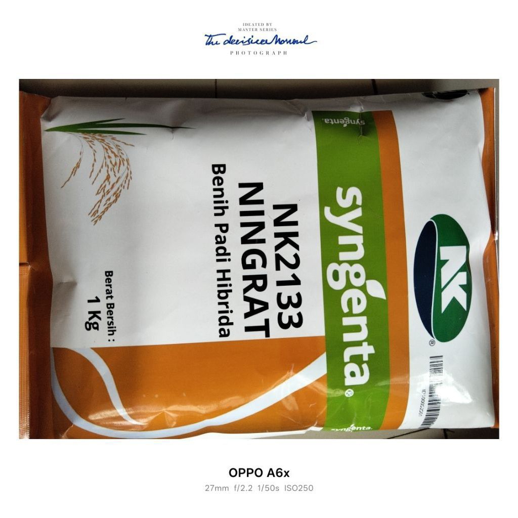 BENIH PADI UNGGUL NINGRAT SYNGENTA NK2133 BERKUALITAS TINGGI KEMASAN 5KG