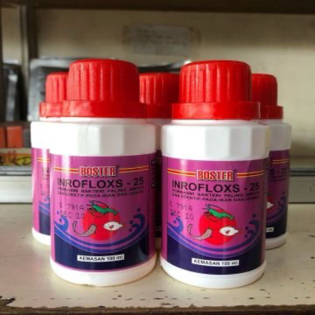 5 PCS INFROLOXS BOOSTER 25