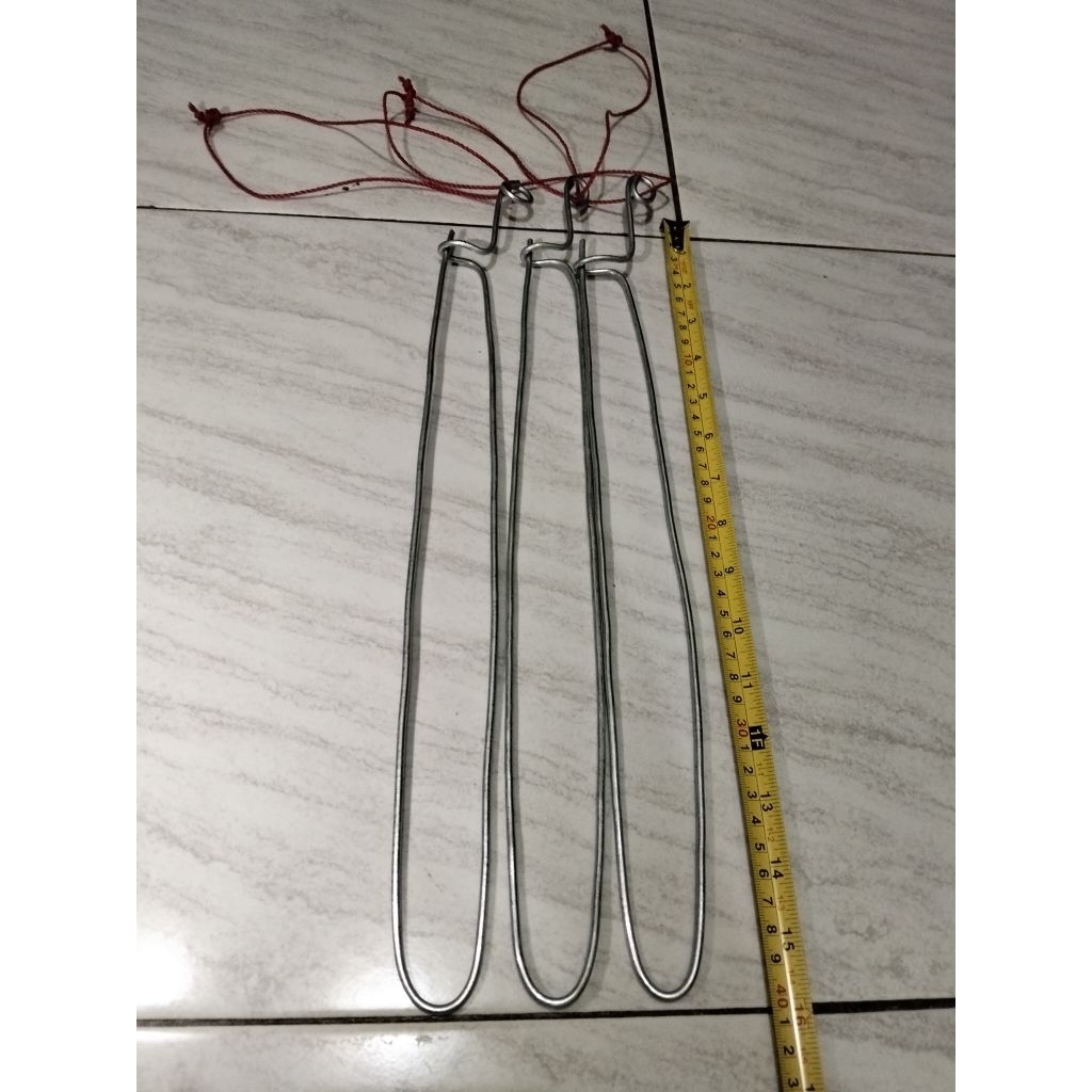 CANTOLAN IKAN