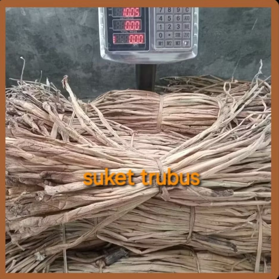 1KG ECENG GONDOK LAWARAN./ bahan anyaman kerajinan/eceng gondok kering 1000gr bahan prakarya kerajin