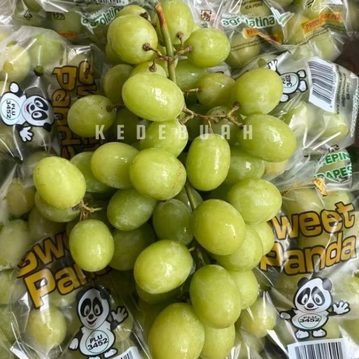 Anggur Autumn Crisp Green Seedless Australia