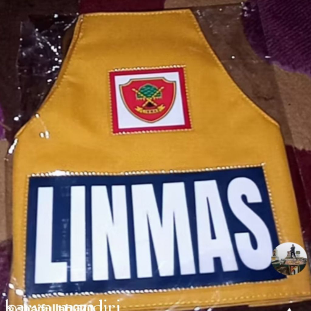 linmas+logo