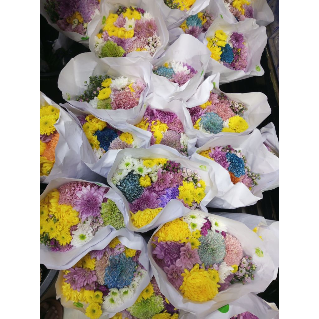 bunga potong mix  aster Krisan .